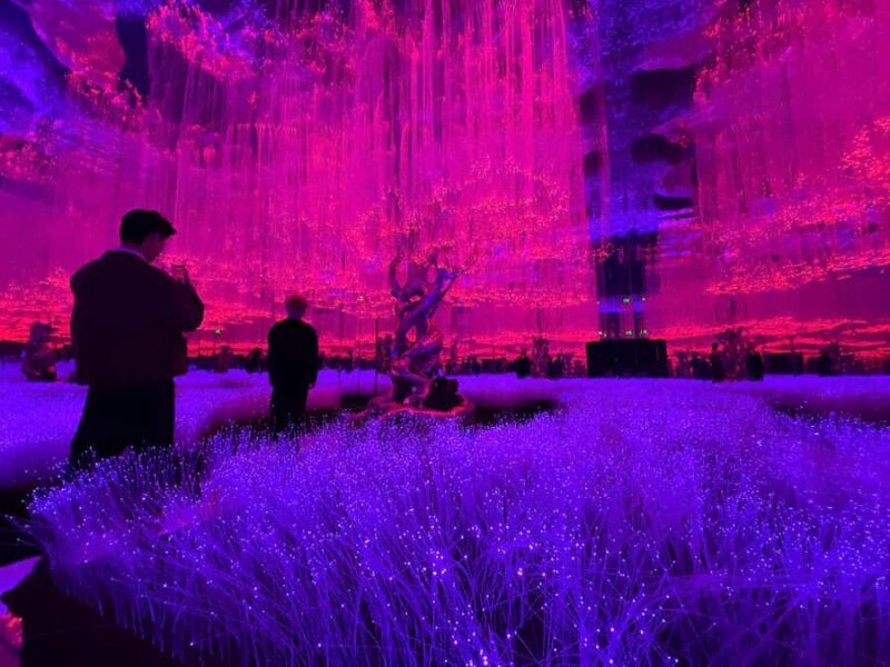 Hanoi: X Space Immersive Digital Art Experience Entry Ticket - What is X Space Immersive?