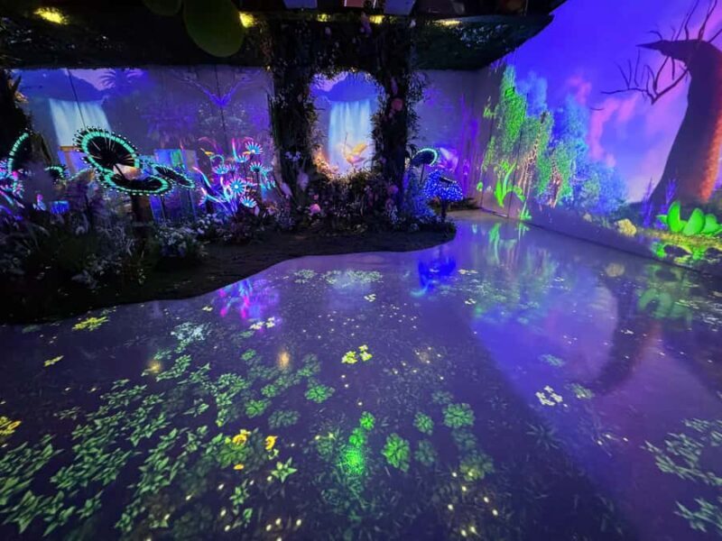 Hanoi: X Space Immersive Digital Art Experience Entry Ticket - What You Can Expect During the Visit