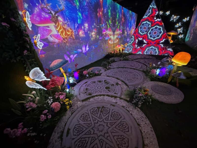 Hanoi: X Space Immersive Digital Art Experience Entry Ticket - Discovering Hanoi’s Digital Art Scene: What You Can Expect at X Space Immersive