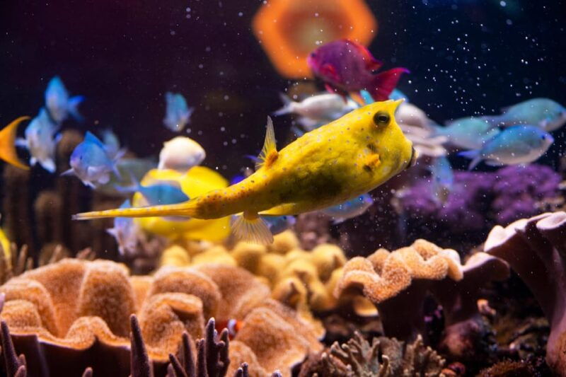 Hanover: SEA LIFE Entry Ticket - Practicalities and Visitor Tips