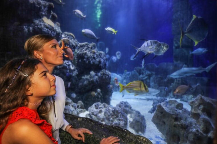 Hanover: SEA LIFE Entry Ticket - The Experience: What Visitors Say