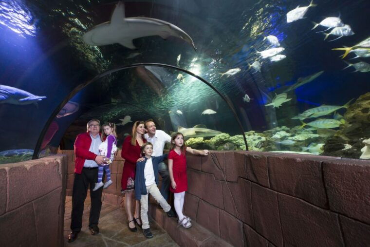 Hanover: SEA LIFE Entry Ticket - Who Should Visit?