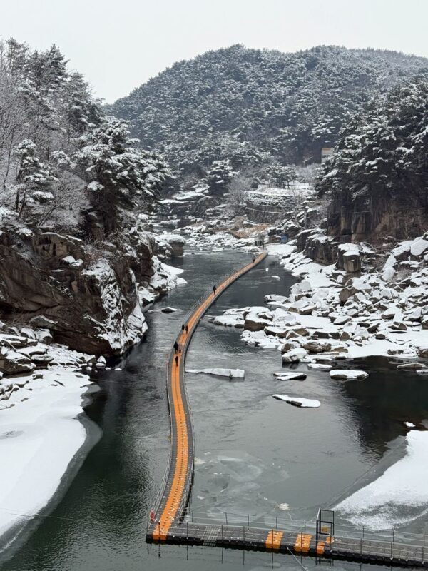 Hantan UNESCO Ice Trekking & Crane Watching Tour from Seoul - Lunch in a local restaurant
