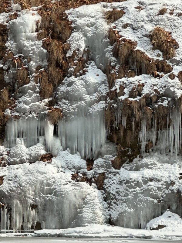 Hantan UNESCO Ice Trekking & Crane Watching Tour from Seoul - Walking the frozen Hantan River