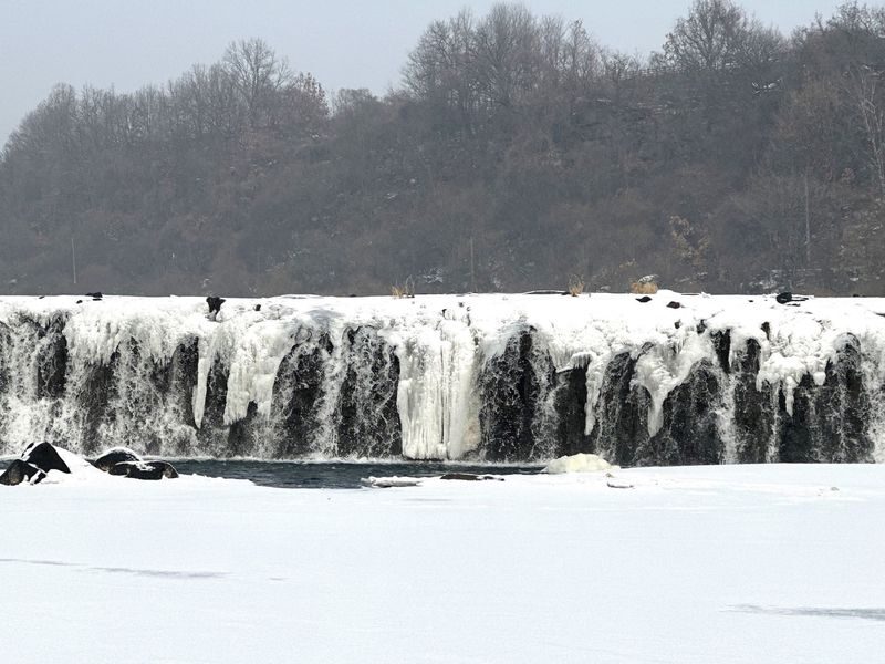 Hantan UNESCO Ice Trekking & Crane Watching Tour from Seoul - What the guide adds
