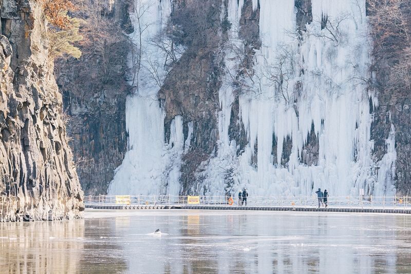 Hantan UNESCO Ice Trekking & Crane Watching Tour from Seoul - Cost, pace and who should book