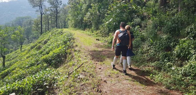 Hantana Mountain Range Pekoe Trail Full Day Hike from Kandy - Final Thoughts: Is This Tour Right for You?