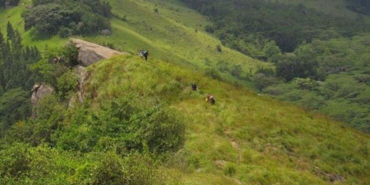Hantana Mountain Retreat:All-Inclusive Trekking Experience - Booking and Payment Details
