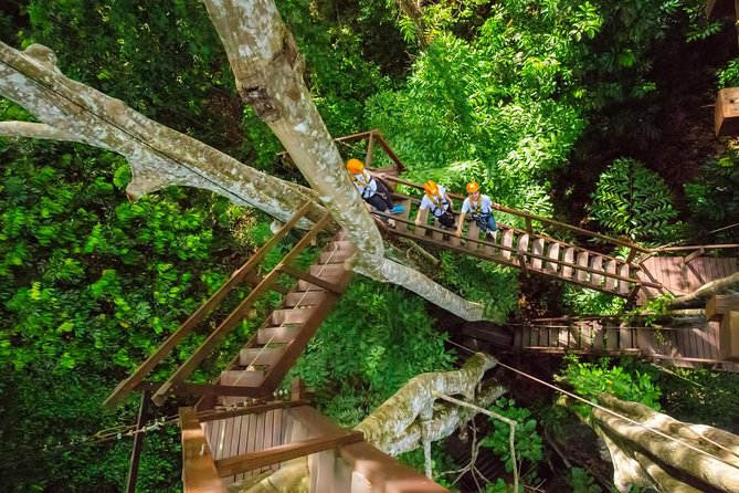 Hanuman World 32-Platform Treetop Circuit With Transfers  - Phuket - Safety Measures and Equipment
