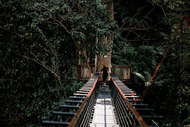 Hanuman World Phuket: Zip Lines and Hotel Transfers - The Sum Up