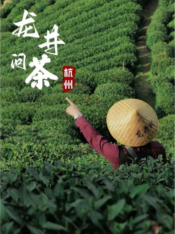 Hanzghou H-quality daytour: Xixi Wetland & Longjing Village - The Sum Up
