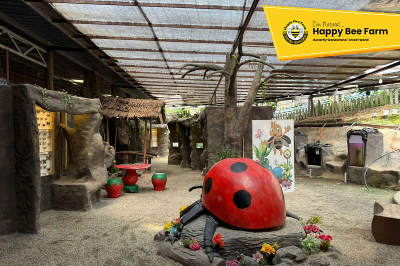 Happy Bee Farm Admission Ticket in Genting Highlands - What to know before you go