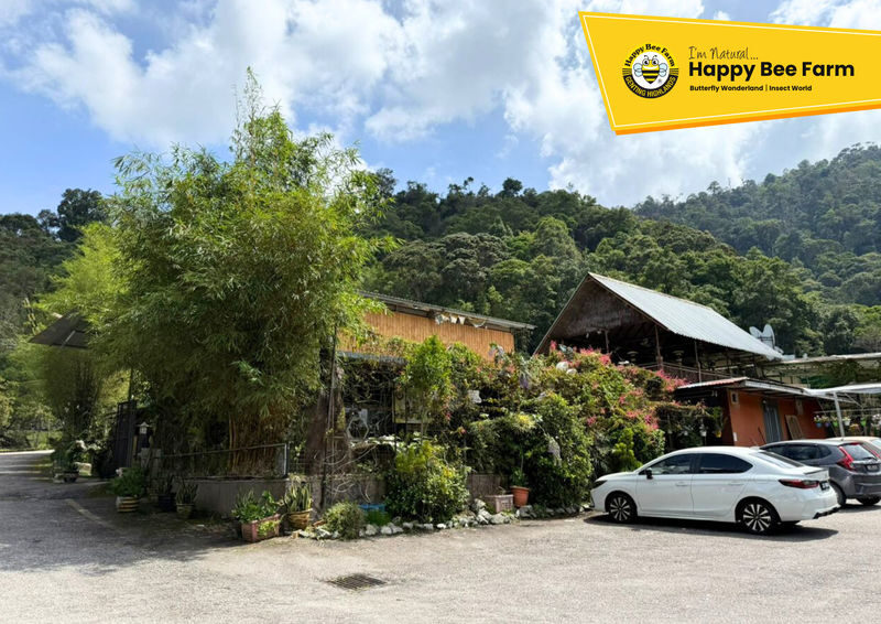 Happy Bee Farm Admission Ticket in Genting Highlands - Bees first, then a closer look at honey
