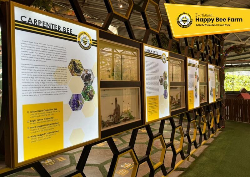 Happy Bee Farm Admission Ticket in Genting Highlands - Insect World and Fantasy Fish Tanks