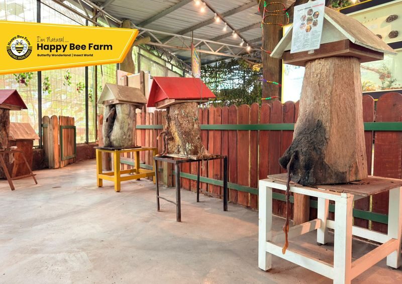 Happy Bee Farm Admission Ticket in Genting Highlands - Rabbits and small-animal time