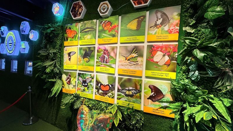 Happy Bee Farm Admission Ticket in Genting Highlands - Is admission good value?