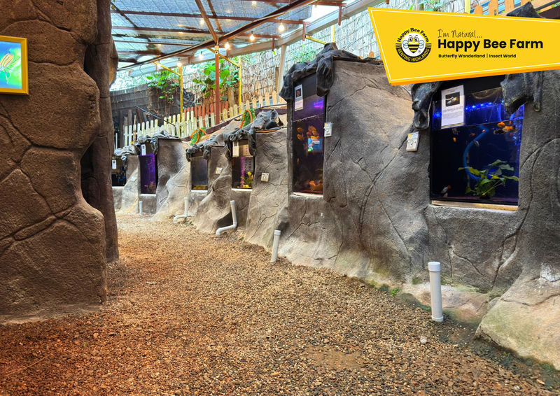 Happy Bee Farm Admission Ticket in Genting Highlands - Who will enjoy this visit most?