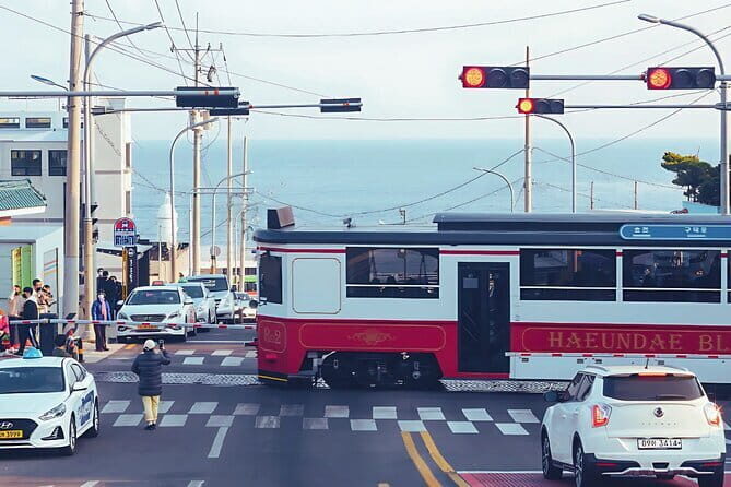 Happy^^ Busan tour for Private Group(Family,couple,friends,alone) - Who Is This Tour Best For?