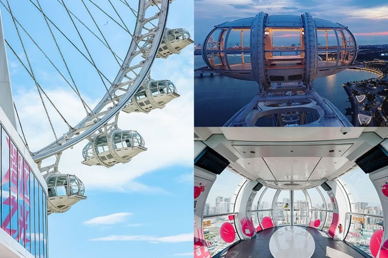 Happy Harbor Ferris Wheel - Key points before you book