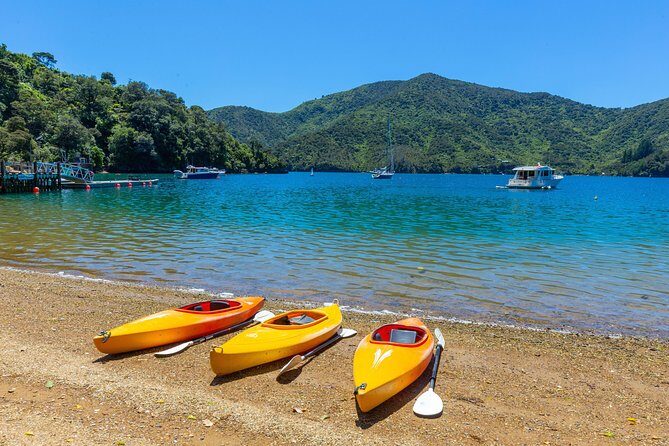 Happy Hour Cruise to Lochmara -from Picton? Take a short cruise - What to Expect from the Happy Hour Cruise to Lochmara