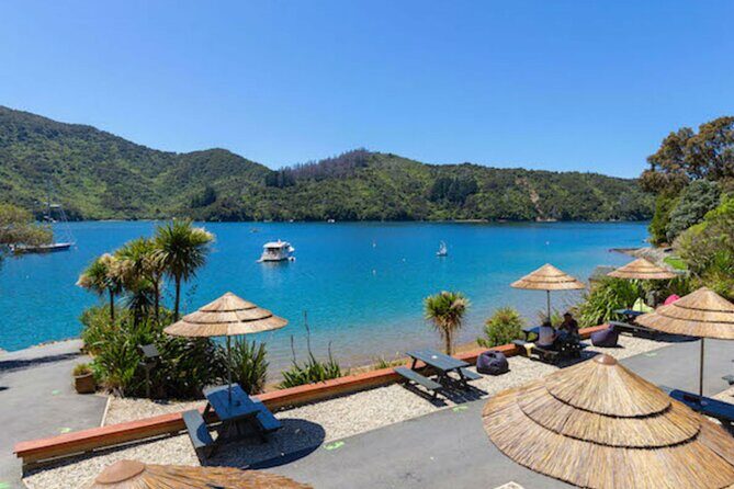 Happy Hour Cruise to Lochmara -from Picton? Take a short cruise - Who Should Consider This Tour?