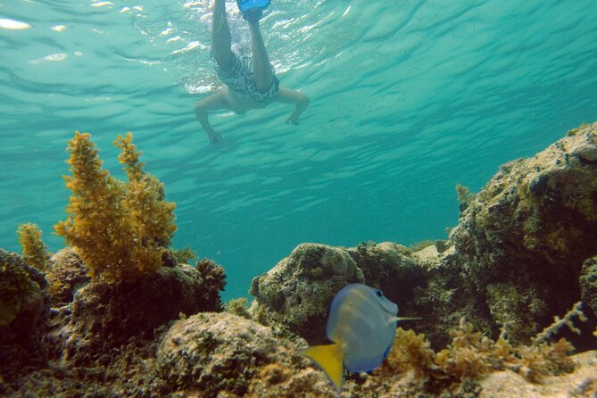 Happy Hour Party Boat With Snorkeling - Snorkeling Among Vibrant Coral Reefs