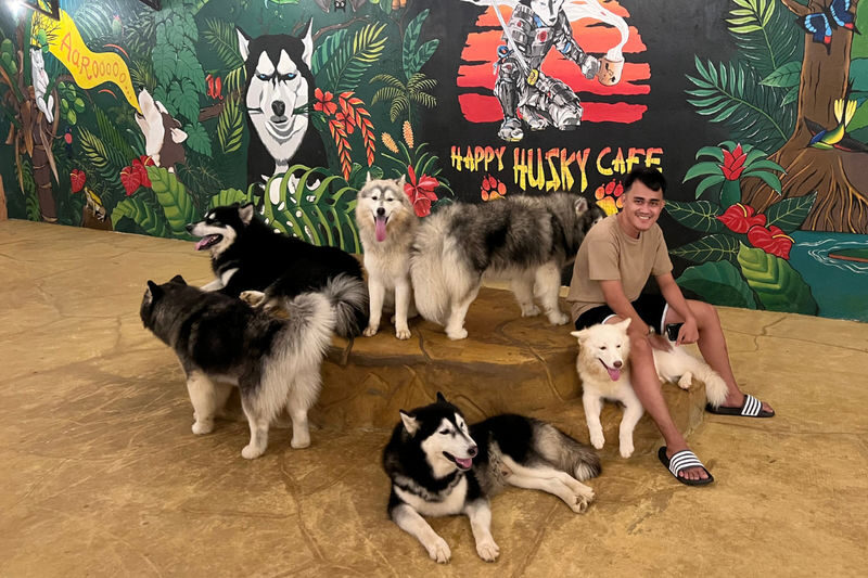 Happy Husky Cafe in Puerto Princesa - The cafe is more than a place to wait
