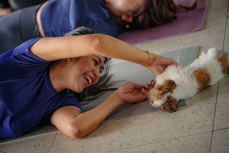 Happy Puppy Yoga Experience in Bali - What the puppies add, and what they do not