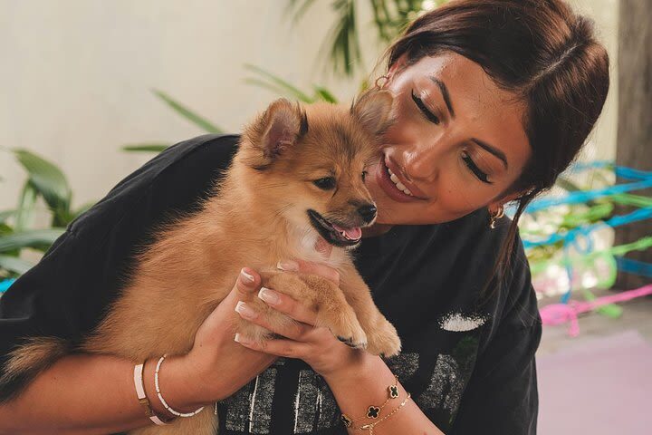 Happy Puppy Yoga Experience in Bali - How much value you get for the price