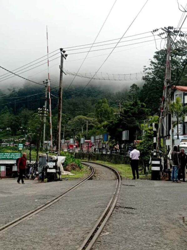 Haputale Day Tour by Tuk Tuk - Nature & Culture - Who Will Love This Tour?