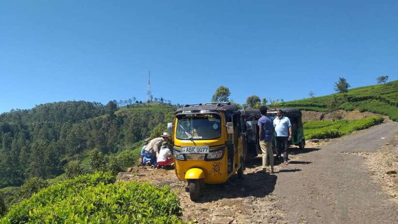 Haputale:Glorious Tuk Tuk Ride to Lipton'sSeat & Tea Factory - Who Is This Tour Best For?  