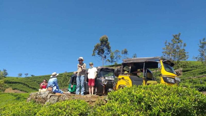 Haputale:Glorious Tuk Tuk Ride to Lipton'sSeat & Tea Factory - FAQ  