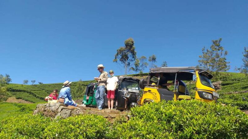 Haputale:Glorious Tuk Tuk Ride to Lipton'sSeat & Tea Factory - Final Thoughts