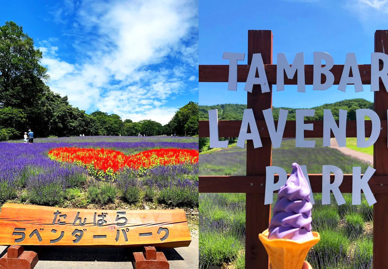 Harada Farm Fruit Picking & Fukiware Falls & Tambara Lavender Park/Ikaho Onsen/Tambara Ski Resort Day Trip (From Tokyo) - A few practical details before you go