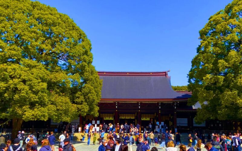 Harajuku : Blend of Tradition & Pop Culture for Family Tour - Good To Know