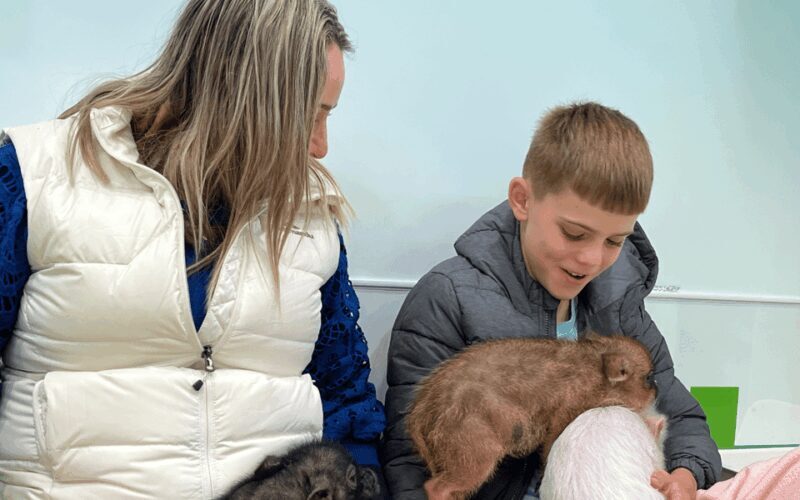 Harajuku : Blend of Tradition & Pop Culture for Family Tour - Practical Details and Tips