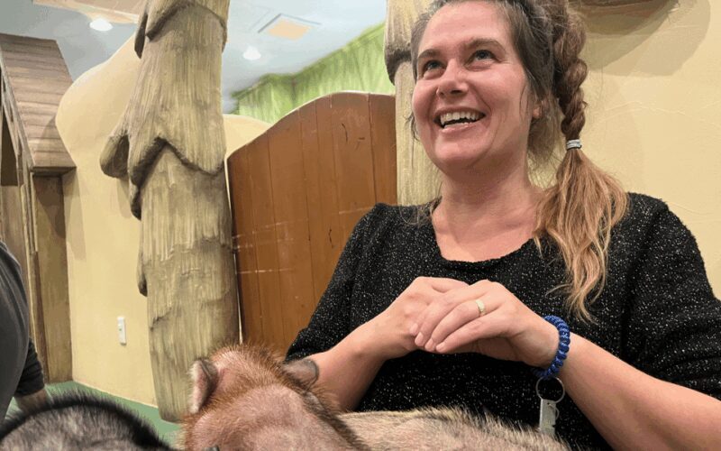 Harajuku : Blend of Tradition & Pop Culture for Family Tour - Who Will Love This Tour?