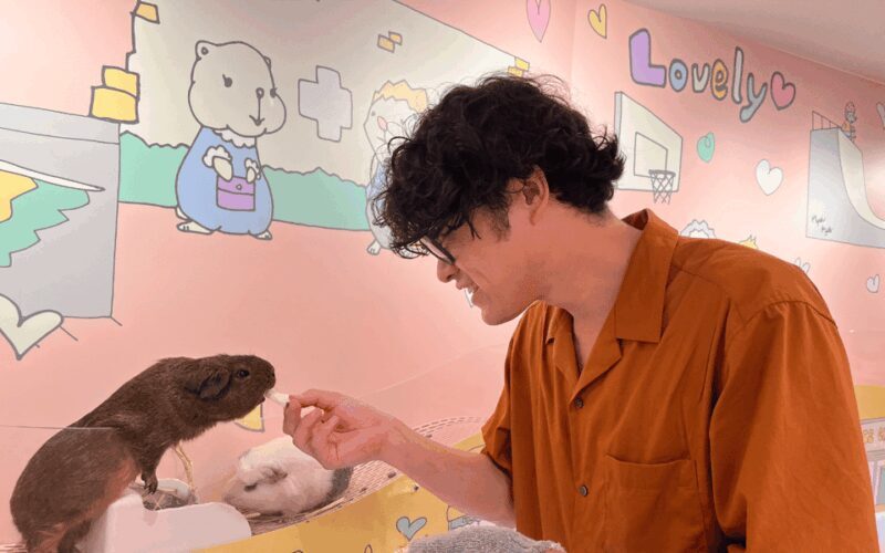 Harajuku : Blend of Tradition & Pop Culture for Family Tour - Frequently Asked Questions