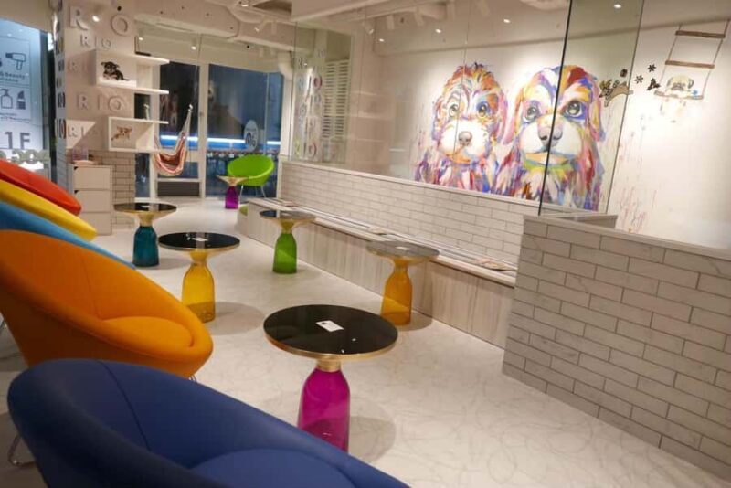 Harajuku: Heartwarming Dog Interaction in Inucafe Rio - What Is Inu Cafe Rio?