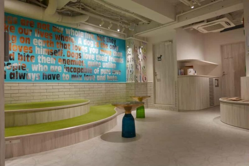 Harajuku: Heartwarming Dog Interaction in Inucafe Rio - Why Is This Experience Valuable?