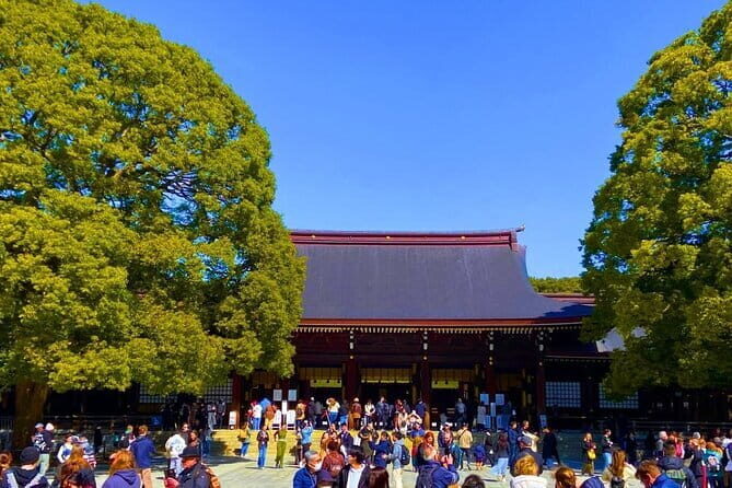 Harajuku Highlights: Where Tradition Meets Tokyo Pop - Authentic Insights from Reviewers