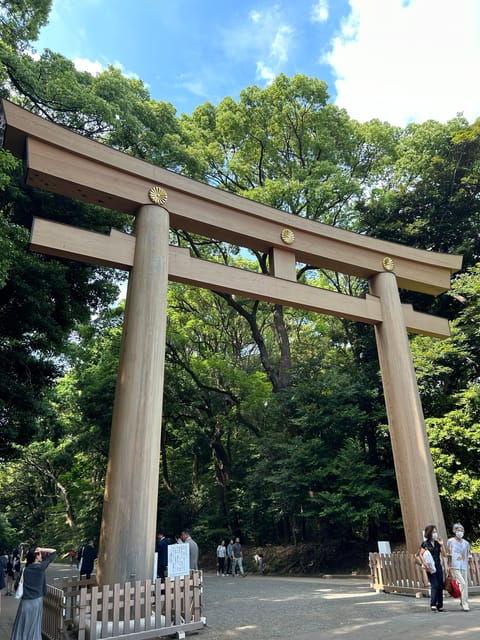 Harajuku: Private Tour, Licensed Guide and Chauffeur Service - Itinerary Highlights