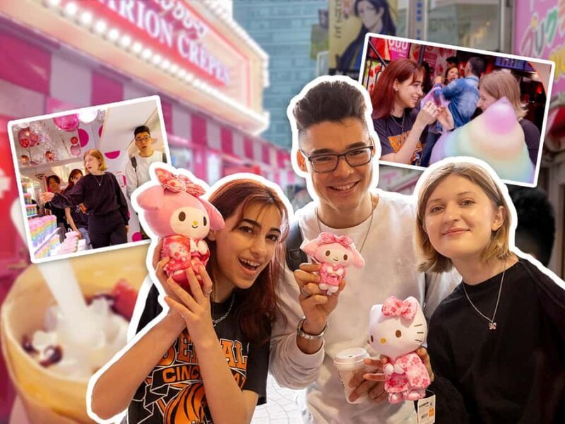 Harajuku Street Culture Tour: Kawaii Fashion & Pop Trends - Why Choose the Harajuku Street Culture Tour?  