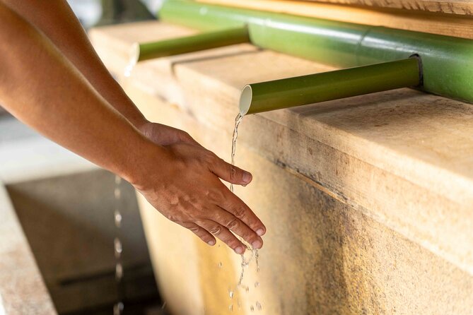 Harajuku Sweet & Culture Exploration: Dive Into Kawaii Wonders! - Immerse Yourself in Harajukus Kawaii Culture