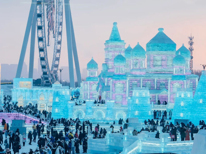Harbin 2-Day Tour | Ice and Snow World & Songhua River & Siberian Tiger Park - Cold-weather planning and useful limits
