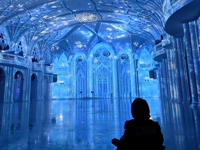 Harbin 2-Day Tour | Ice and Snow World & Songhua River & Siberian Tiger Park - Should you book this Harbin tour?