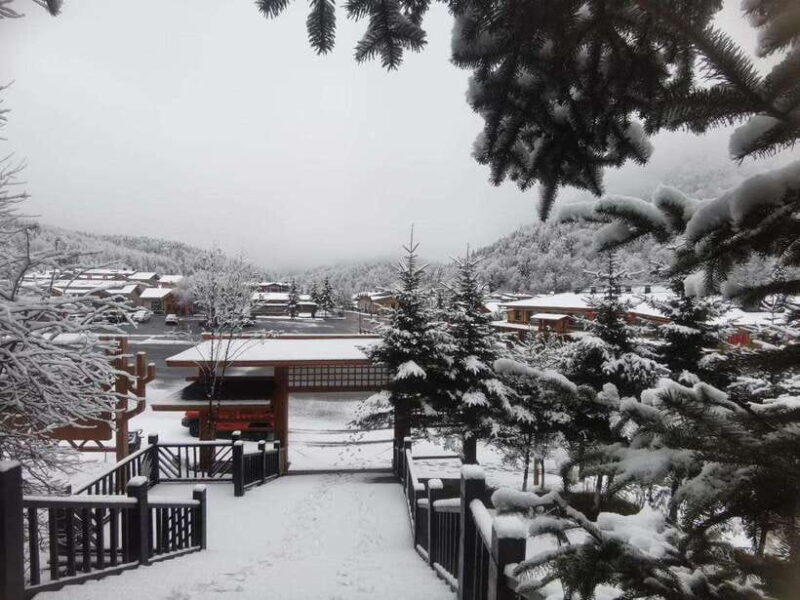 Harbin: 6-Day Harbin Ice Festival and Yabuli Club Med Tour - Good To Know