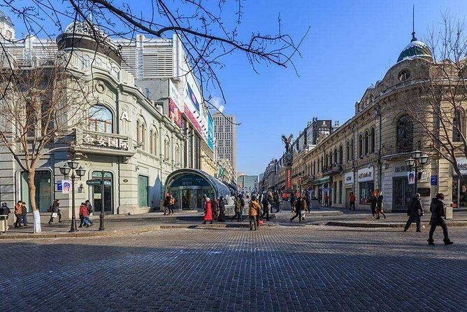 Harbin City Group Tour including Crossing Songhua River by Ropeway and Ice Swimming Show - Final Thoughts: Who Should Book This Tour?
