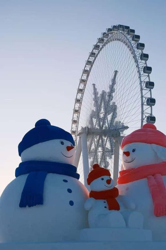 Harbin: Ice and Snow World Entry Ticket - Exploring Harbin Ice and Snow World: A Practical Overview