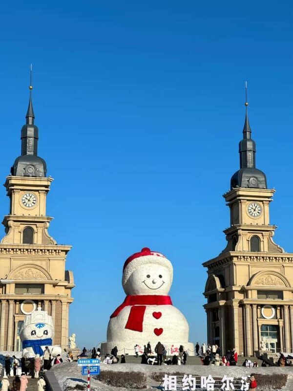 Harbin: Local Markets, Central Street, & Flexible Itinerary - Final Thoughts